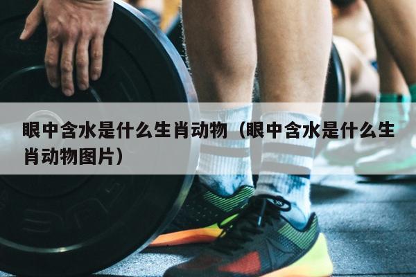 眼中含水是什么生肖动物（眼中含水是什么生肖动物图片）