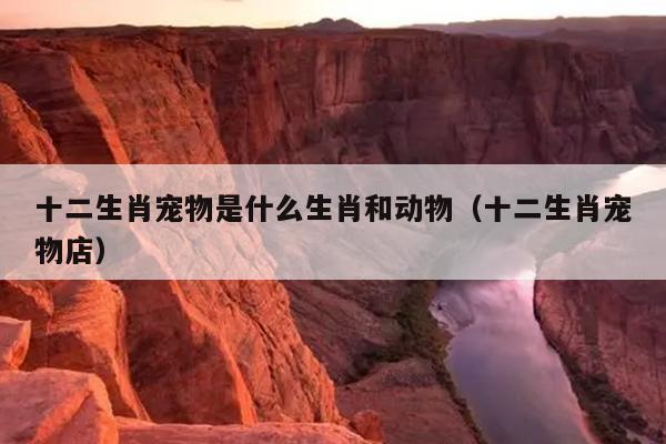 十二生肖宠物是什么生肖和动物（十二生肖宠物店）