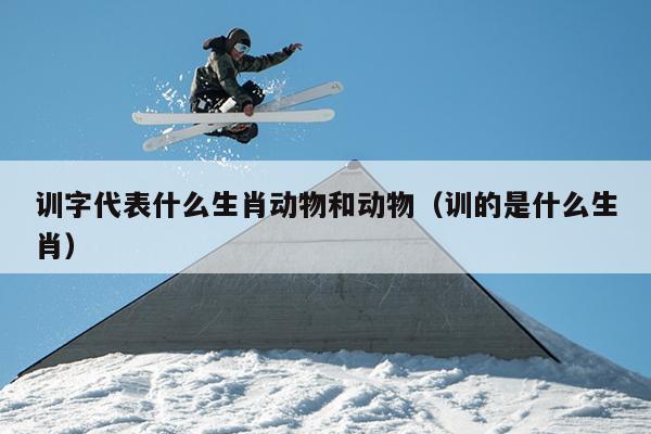 训字代表什么生肖动物和动物（训的是什么生肖）