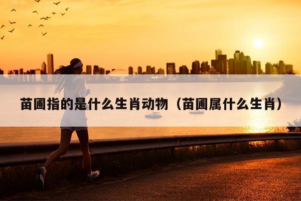 苗圃指的是什么生肖动物（苗圃属什么生肖）