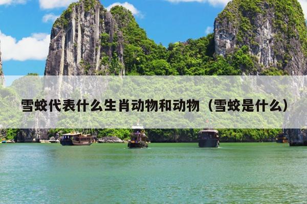 雪蛟代表什么生肖动物和动物（雪蛟是什么）