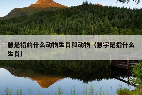 慧是指的什么动物生肖和动物（慧字是指什么生肖）