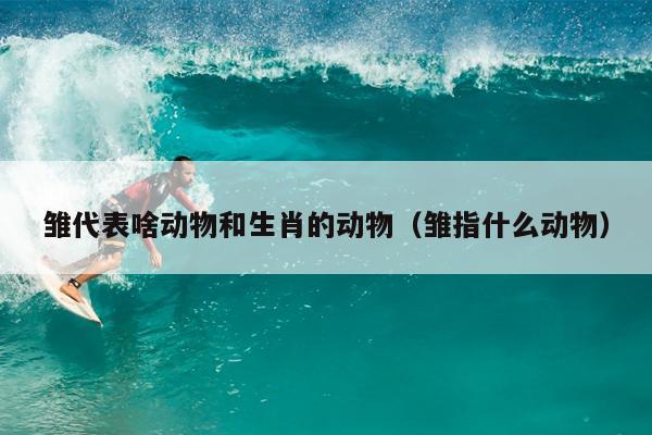 雏代表啥动物和生肖的动物（雏指什么动物）