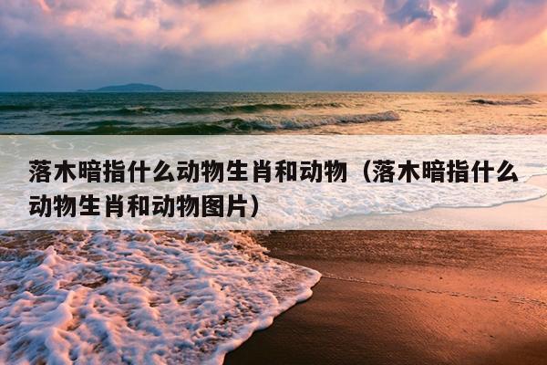 落木暗指什么动物生肖和动物（落木暗指什么动物生肖和动物图片）