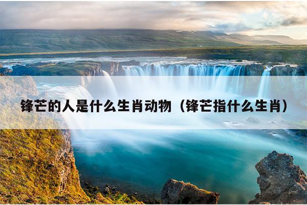 锋芒的人是什么生肖动物（锋芒指什么生肖）