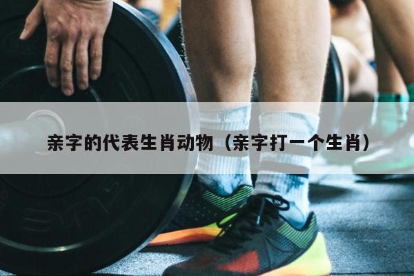 亲字的代表生肖动物（亲字打一个生肖）