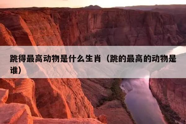 跳得最高动物是什么生肖（跳的最高的动物是谁）