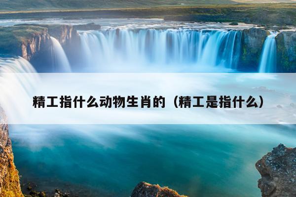 精工指什么动物生肖的（精工是指什么）
