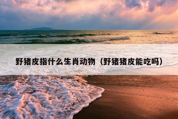 野猪皮指什么生肖动物（野猪猪皮能吃吗）