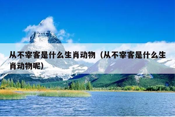 从不宰客是什么生肖动物（从不宰客是什么生肖动物呢）
