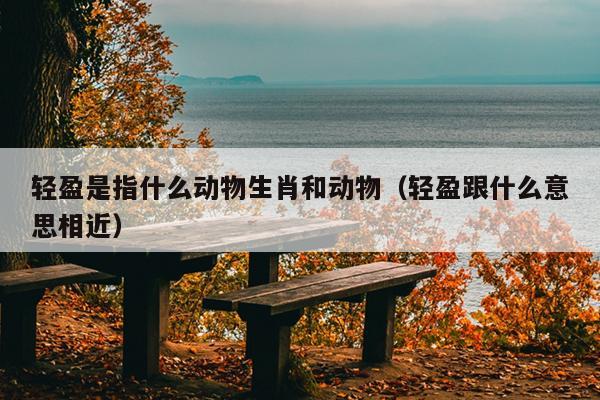 轻盈是指什么动物生肖和动物（轻盈跟什么意思相近）