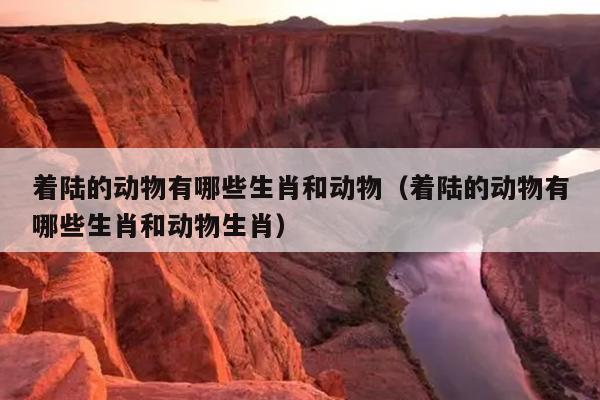着陆的动物有哪些生肖和动物（着陆的动物有哪些生肖和动物生肖）
