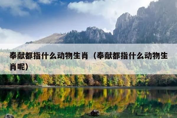 奉献都指什么动物生肖（奉献都指什么动物生肖呢）