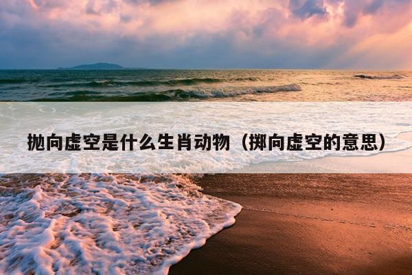 抛向虚空是什么生肖动物（掷向虚空的意思）
