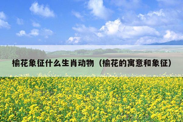 榆花象征什么生肖动物（榆花的寓意和象征）