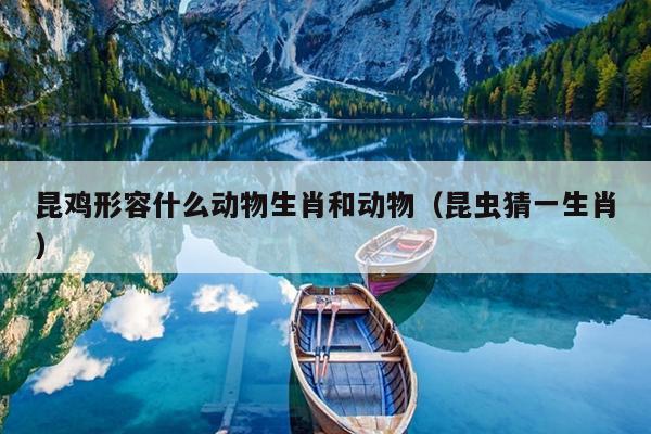 昆鸡形容什么动物生肖和动物（昆虫猜一生肖）
