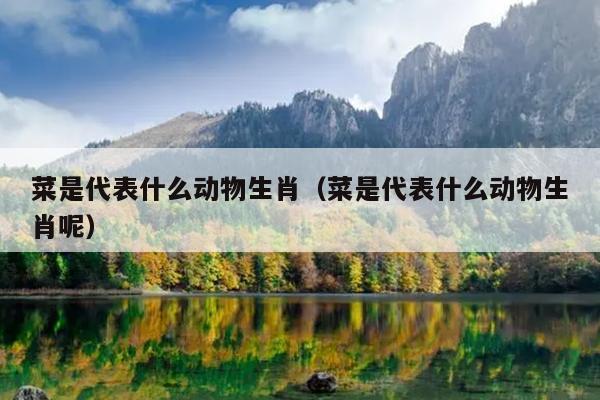菜是代表什么动物生肖（菜是代表什么动物生肖呢）
