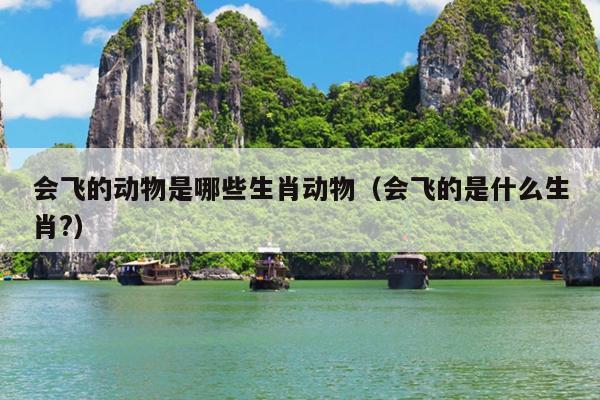 会飞的动物是哪些生肖动物（会飞的是什么生肖?）