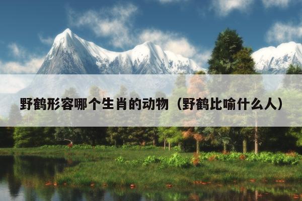 野鹤形容哪个生肖的动物（野鹤比喻什么人）