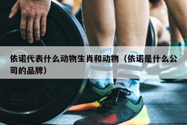 依诺代表什么动物生肖和动物（依诺是什么公司的品牌）