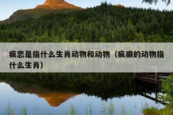疯恋是指什么生肖动物和动物（疯癫的动物指什么生肖）