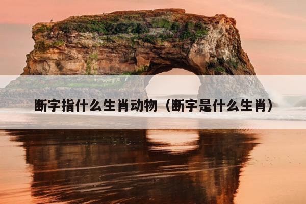 断字指什么生肖动物（断字是什么生肖）