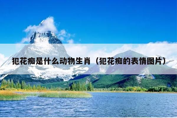 犯花痴是什么动物生肖（犯花痴的表情图片）