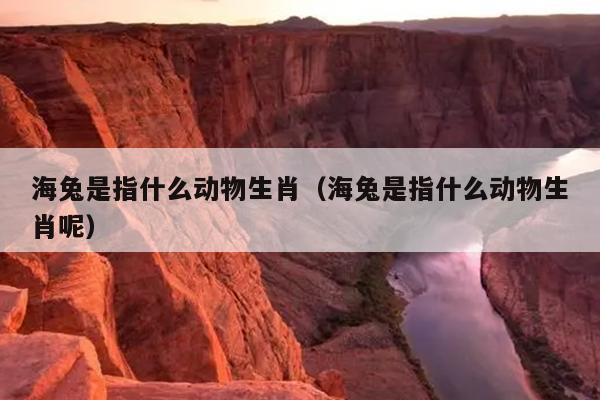 海兔是指什么动物生肖（海兔是指什么动物生肖呢）