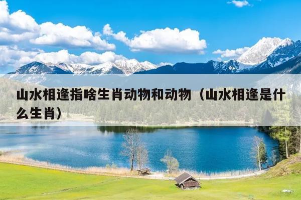 山水相逢指啥生肖动物和动物（山水相逢是什么生肖）