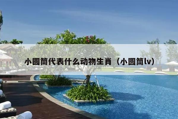 小圆筒代表什么动物生肖（小圆筒lv）