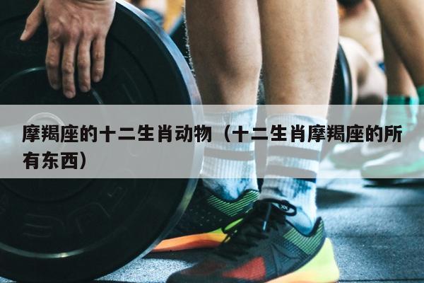 摩羯座的十二生肖动物（十二生肖摩羯座的所有东西）