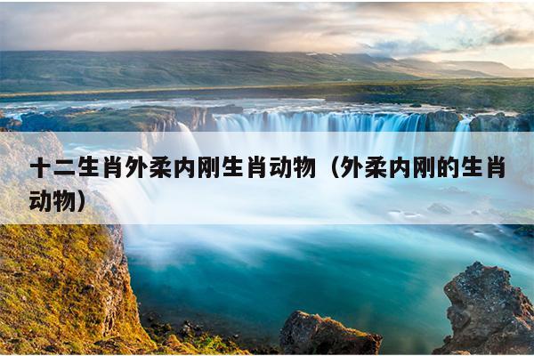 十二生肖外柔内刚生肖动物（外柔内刚的生肖动物）