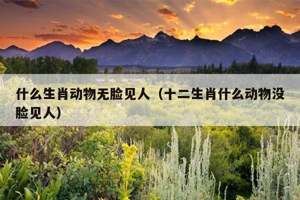 什么生肖动物无脸见人（十二生肖什么动物没脸见人）
