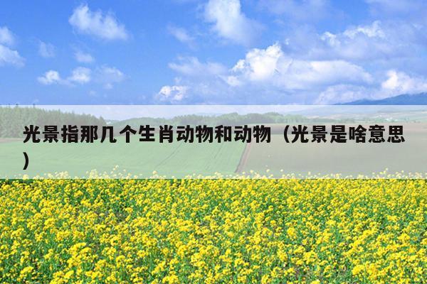光景指那几个生肖动物和动物（光景是啥意思）
