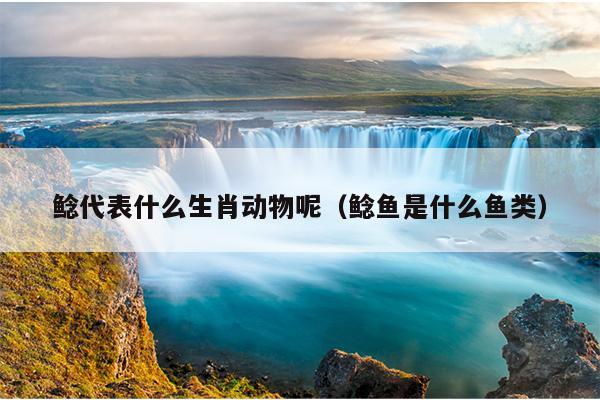 鲶代表什么生肖动物呢（鲶鱼是什么鱼类）