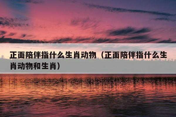 正面陪伴指什么生肖动物（正面陪伴指什么生肖动物和生肖）