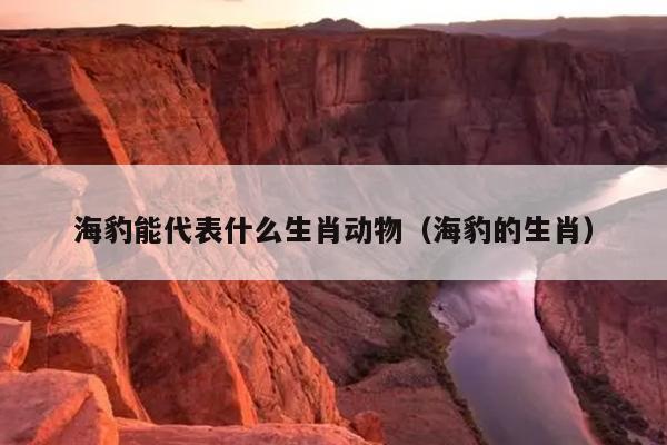 海豹能代表什么生肖动物（海豹的生肖）