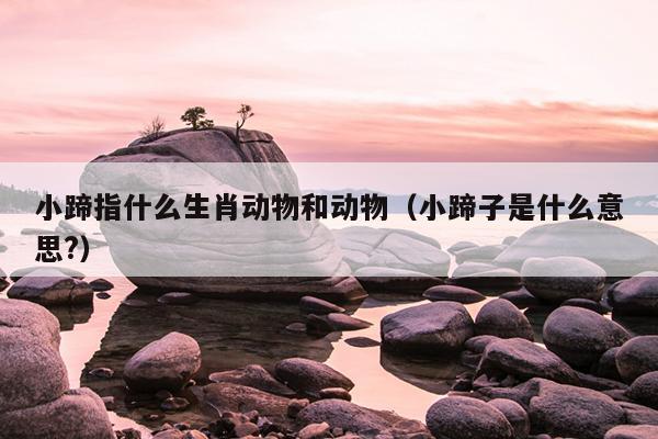小蹄指什么生肖动物和动物（小蹄子是什么意思?）
