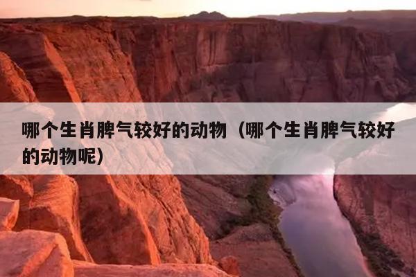 哪个生肖脾气较好的动物（哪个生肖脾气较好的动物呢）