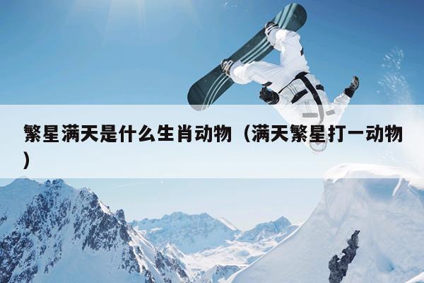 繁星满天是什么生肖动物（满天繁星打一动物）