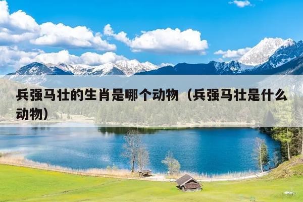 兵强马壮的生肖是哪个动物（兵强马壮是什么动物）