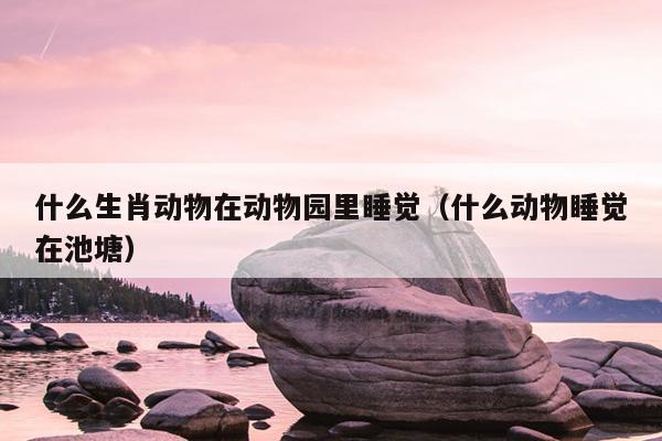 什么生肖动物在动物园里睡觉（什么动物睡觉在池塘）