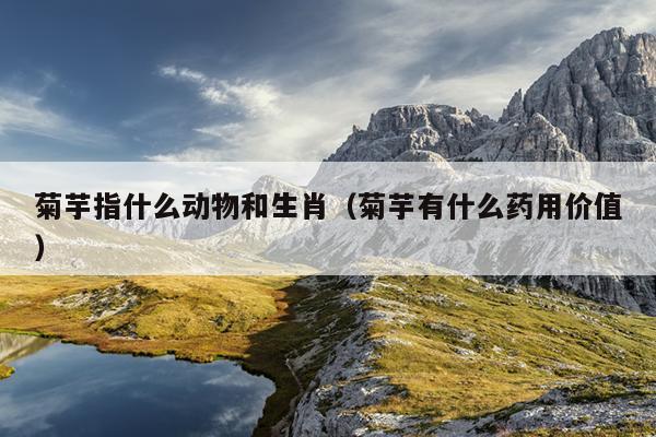 菊芋指什么动物和生肖（菊芋有什么药用价值）