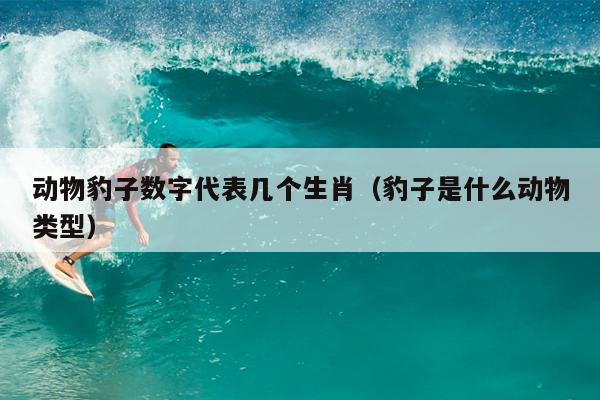 动物豹子数字代表几个生肖（豹子是什么动物类型）