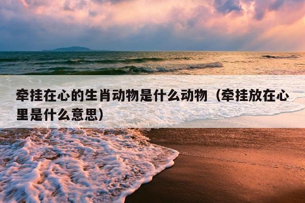 牵挂在心的生肖动物是什么动物（牵挂放在心里是什么意思）