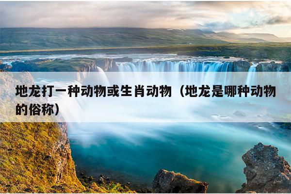 地龙打一种动物或生肖动物（地龙是哪种动物的俗称）