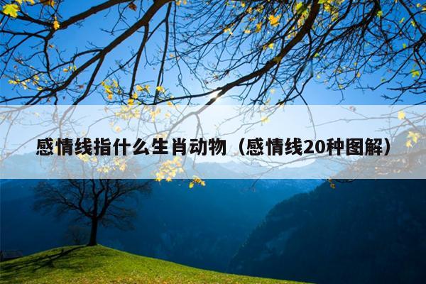 感情线指什么生肖动物（感情线20种图解）