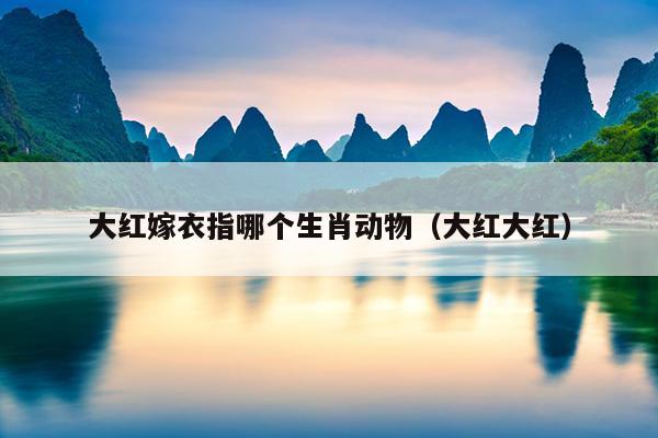 大红嫁衣指哪个生肖动物（大红大红）