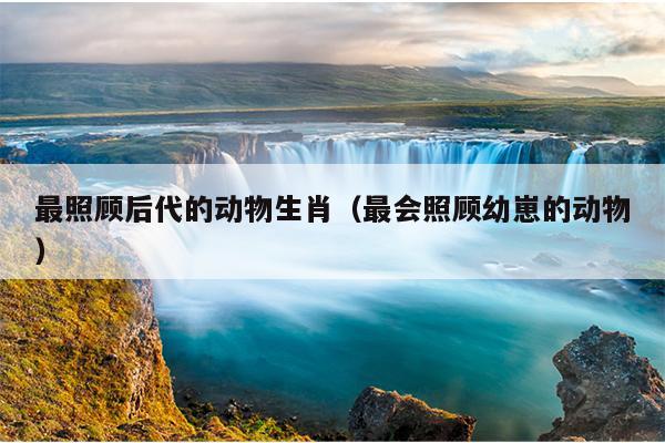 最照顾后代的动物生肖（最会照顾幼崽的动物）