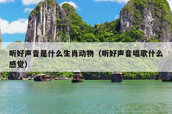 听好声音是什么生肖动物（听好声音唱歌什么感觉）